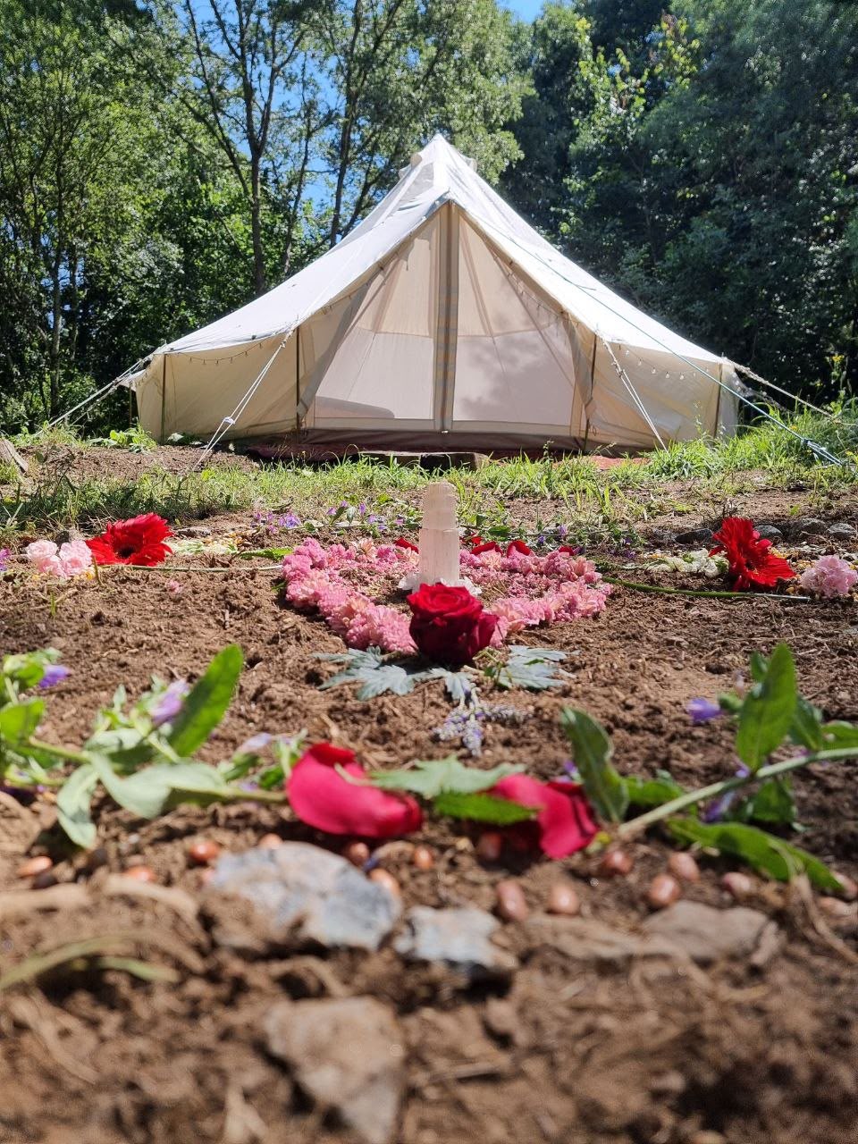 Bell tent behind a mandala of roses and pressed petals
